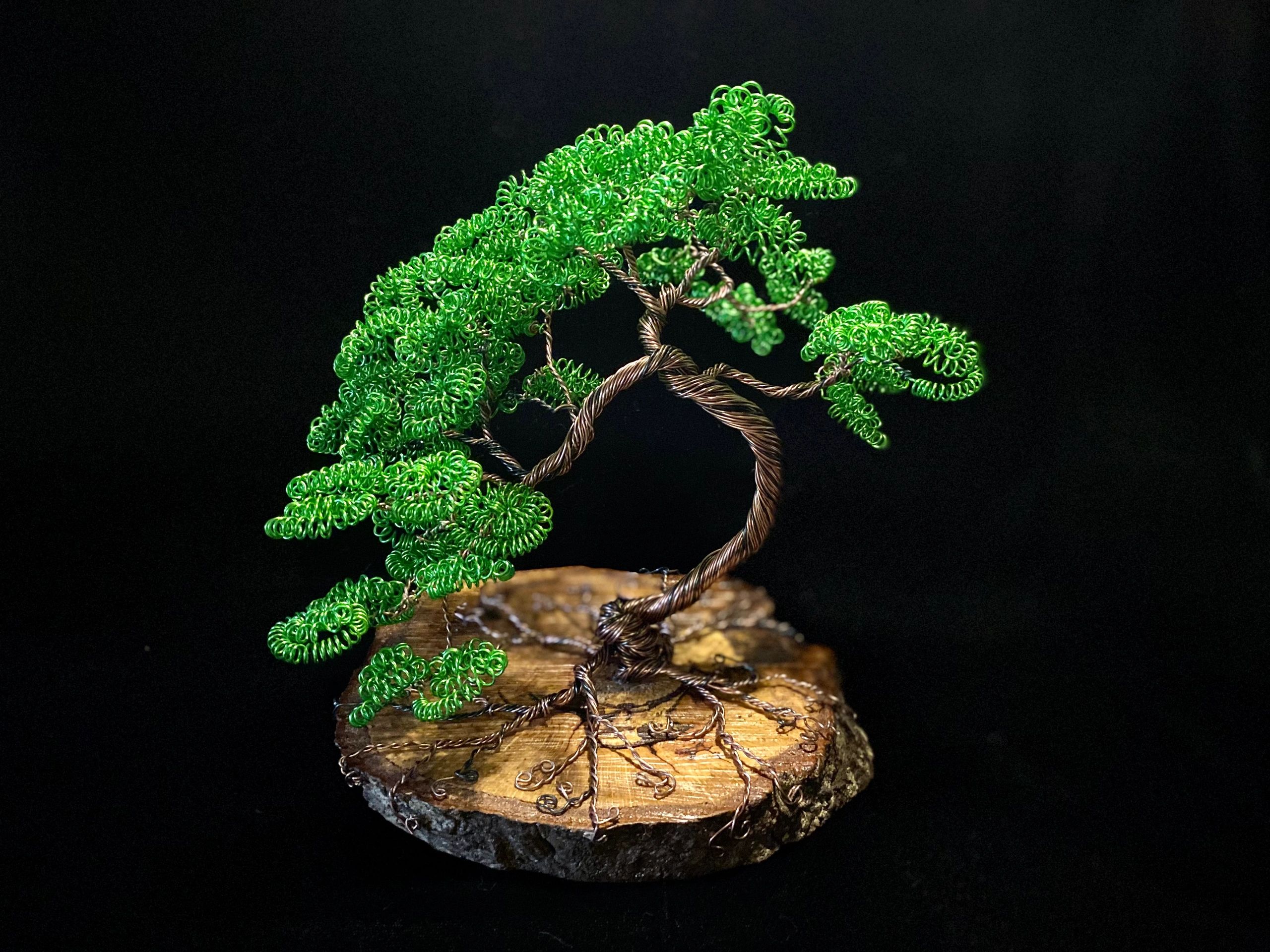 The Wire Bonsai Tree